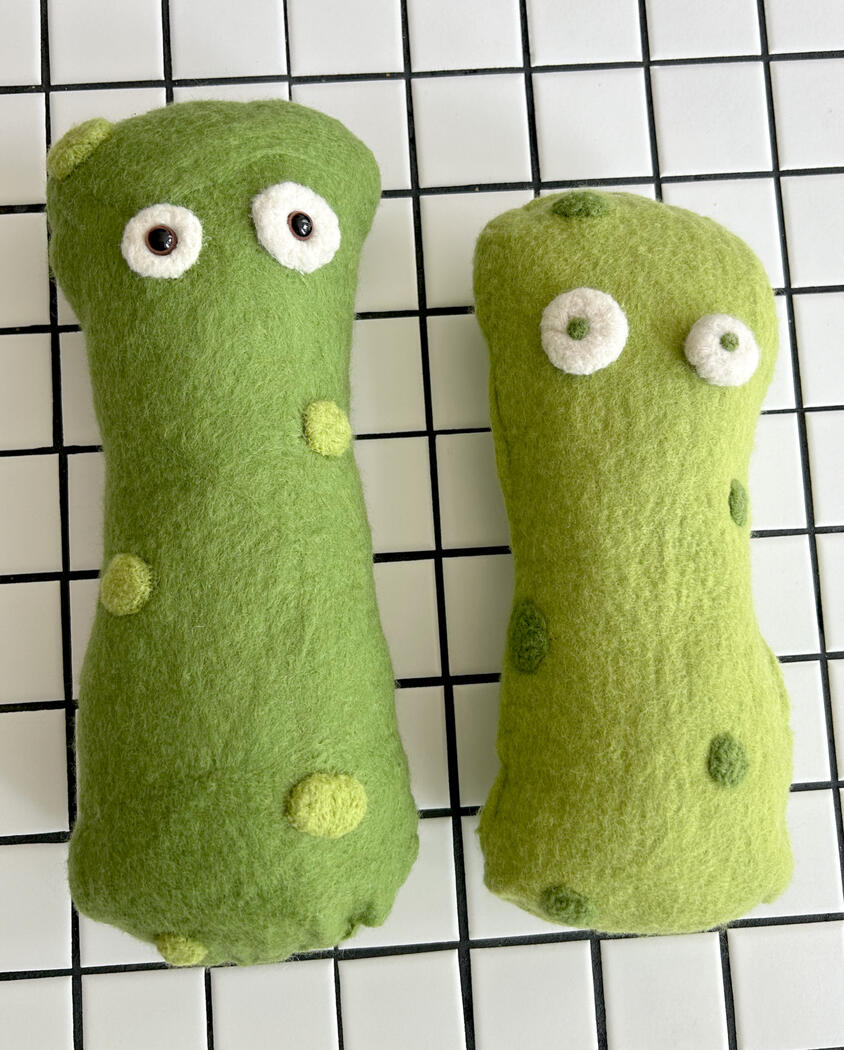 &quot;Pickle Mates&quot;, 2024, wet felted merino wool
