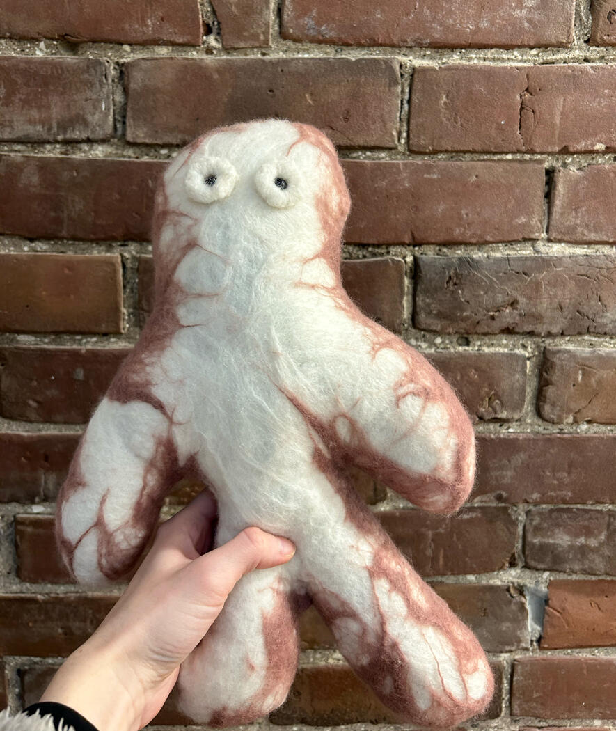 &quot;Octi&quot;, 2024, Wet felted merino wool, size: 8&quot; x 12&quot;