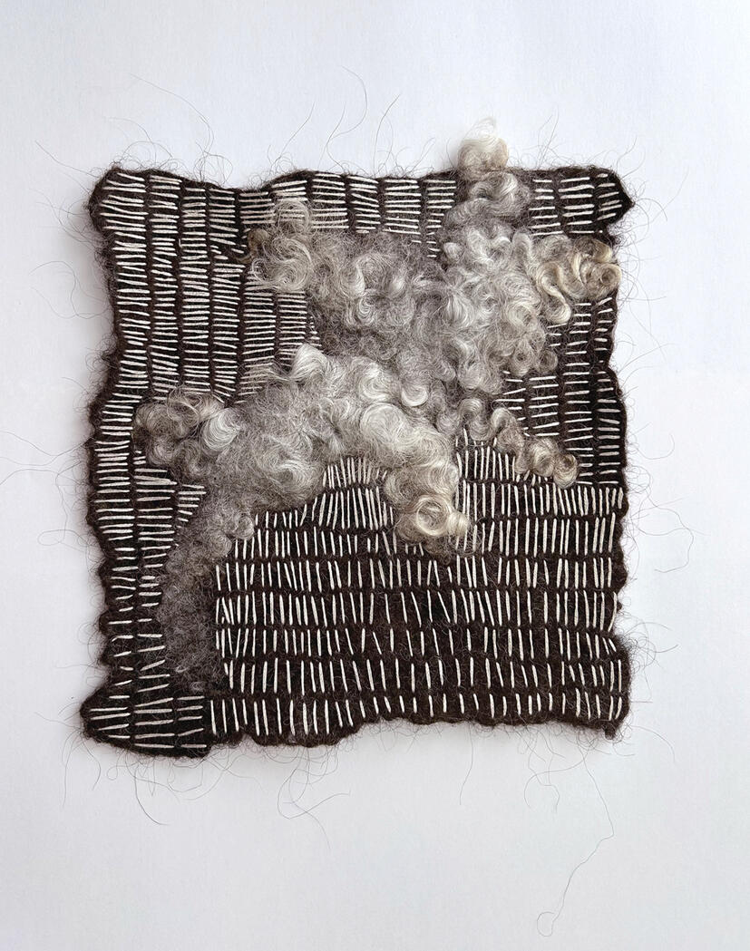 amoeba forms: sweeping stitches, 2025, Ontario wool, 8" x 7"